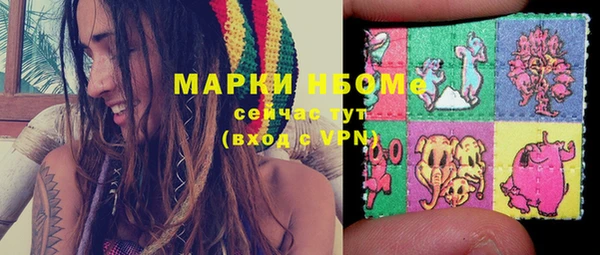 СК Бронницы